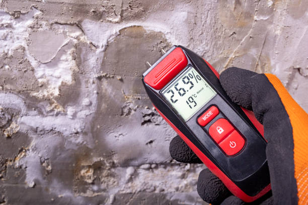 Best Mold Remediation Services  in Manitou Springs, CO